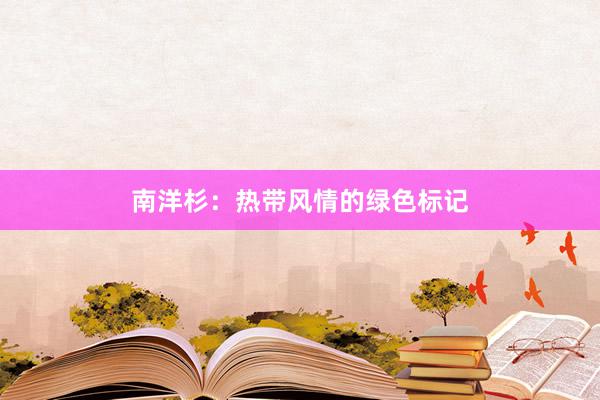 南洋杉：热带风情的绿色标记